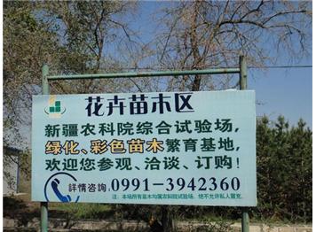 XinJiang Academy of Agricultural Sciences experimental fields