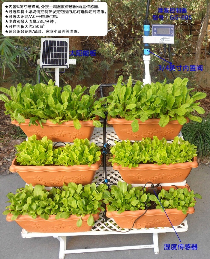 有机蔬菜架应用案例.jpg